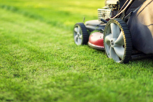 Mow Your Lawn